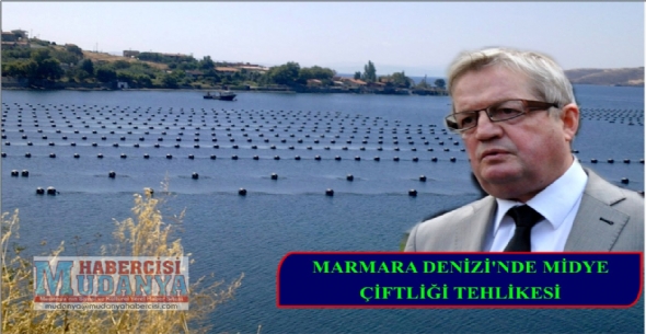 Marmara Denizinde Midye iftlii Tehlikesi
